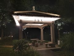 -渤公岛生态公园