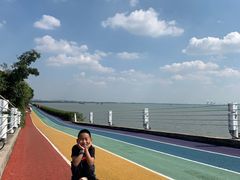 -贡湖湾湿地公园