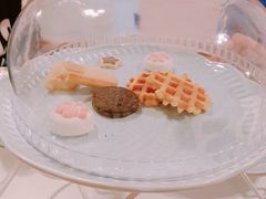 -三花喵·撸猫购宠·宠物生活馆(虹桥南丰城店)