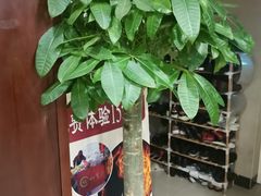 -裕和堂中医推拿艾灸(太古汇臻品店)