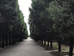 -秦始皇帝陵博物院-丽山园