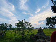 -东湖落雁景区