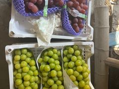 -马陆小张葡萄园农家乐