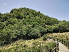 -白草畔自然风景区