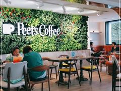 大堂-Peet's Coffee皮爷咖啡(大学路店)