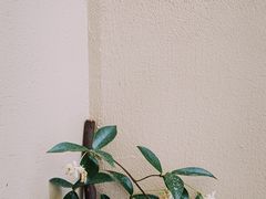 -山野咖啡(之江花园店)