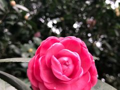 -华南国家植物园-售票处