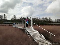 -嘉北郊野公园