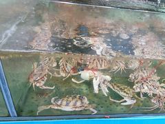 -聚鲜阁海鲜美食城(香水湾店)