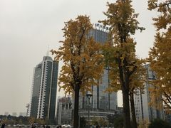 -百林公园-两江幸福广场