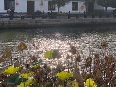 -西塘人家•黑金冠本地好店