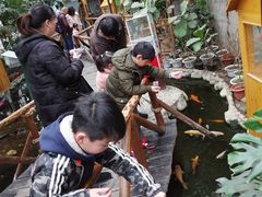 景点-上海大自然野生昆虫馆