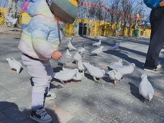 -1982农场