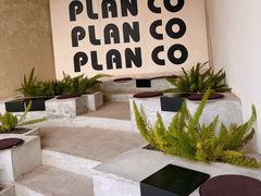 -PLAN CO