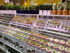 -天虹购物中心(石路店)