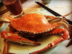 -浩运·海鲜青岛菜·海胆水饺(石老人店)