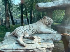 -北京野生动物园