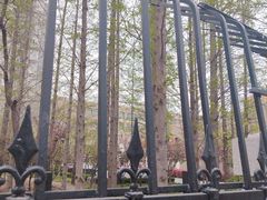 -山东省青岛第二中学(江西路分校)