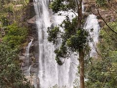 -海南热带雨林国家公园吊罗山景区