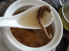 -瓦库茶馆17号(海汇港店)