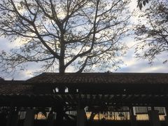 -喜洲吧·江畔老船厂·庭院餐厅(喜临院店)
