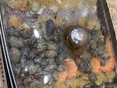 -良友·海鲜青岛菜(五四广场店)