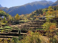 -石台牯牛降景区