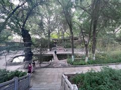 -兰山公园