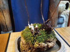 -普洱茶府(博乐广场店)