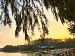 -上海海湾国家森林公园