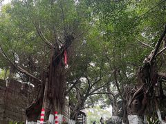 -胡里山炮台