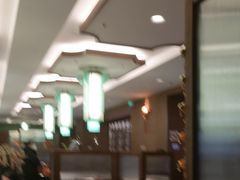 -蝶园·装修中(BFC外滩金融中心店)