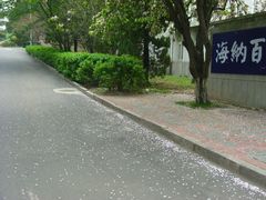 -中国海洋大学（崂山校区）-游泳馆