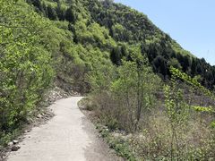 -府君山公园