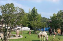 -莫奈庄园·儿童摄影馆·影视基地(江宁店)