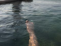 -苏州湾王焰温泉度假酒店