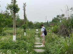 -桤木河湿地公园