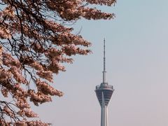 -红星桥(地铁站)