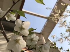 -南京外国语学校(仙林分校西区)