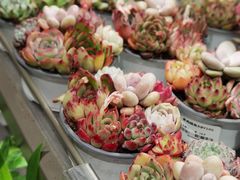 -鹿岛生活(熙地港店)