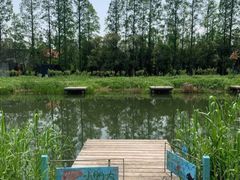 -前小桔亲子创意农场·草莓采摘·露营烧烤