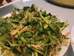 肉丝拌苦苣-好妈王饺子(滂江街店)