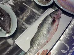 -渔娘渔家丹东海鲜(东直门店)