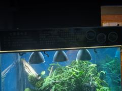 -上海大自然野生昆虫馆(东方明珠·爬宠昆虫探索中心)