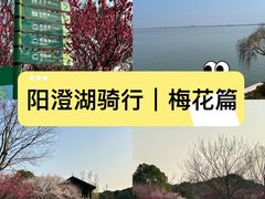 -阳澄湖半岛旅游度假区