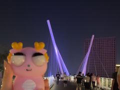 -映月湖中央公园