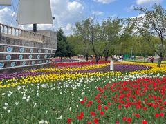 -长春公园(普阳街道)