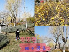 -康庄公园
