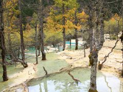 -黄龙山原始森林景区