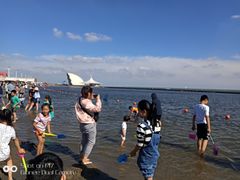 -碧海金沙